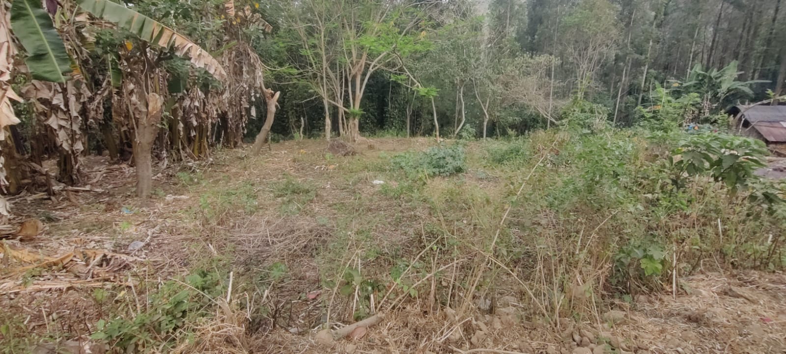 Land Sale Yercaud